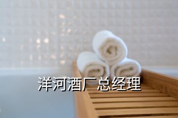 洋河酒廠總經(jīng)理