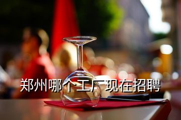 鄭州哪個(gè)工廠現(xiàn)在招聘