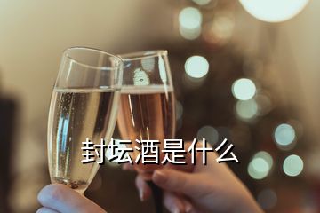 封壇酒是什么