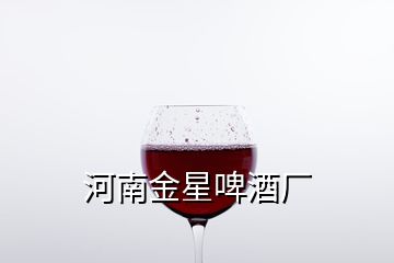 河南金星啤酒廠