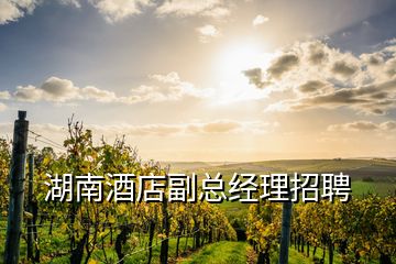 湖南酒店副總經(jīng)理招聘