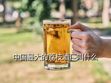 中國(guó)最大的荔枝酒廠叫什么