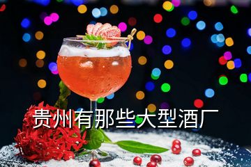 貴州有那些大型酒廠