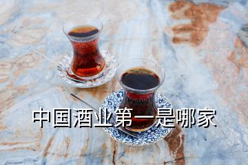 中國(guó)酒業(yè)第一是哪家