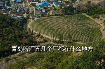 青島啤酒五幾個(gè)廠都在什么地方