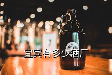 宜賓有多少酒廠