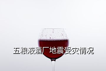 五糧液酒廠地震受災(zāi)情況