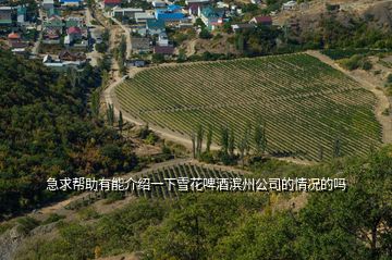 急求幫助有能介紹一下雪花啤酒濱州公司的情況的嗎