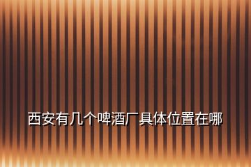 西安有幾個(gè)啤酒廠具體位置在哪