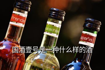 國酒壹號(hào)是一種什么樣的酒