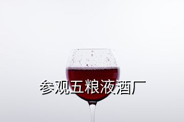 參觀五糧液酒廠