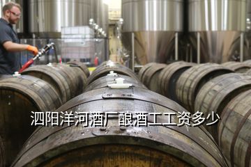 泗陽洋河酒廠釀酒工工資多少