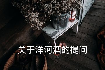 關(guān)于洋河酒的提問(wèn)