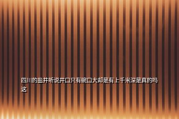 四川的鹽井聽說(shuō)井口只有碗口大卻是有上千米深是真的嗎這