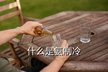 什么是氨制冷