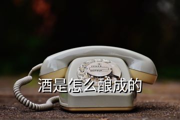 酒是怎么釀成的