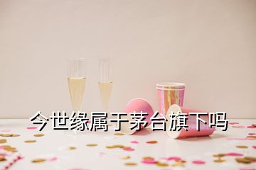 今世緣屬于茅臺(tái)旗下嗎