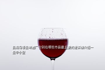 云南有哪些啤酒廠 分別在哪些市縣最主要的是詳細介紹一些中小型