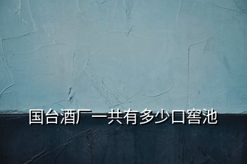 國(guó)臺(tái)酒廠一共有多少口窖池