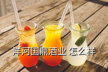 洋河國鼎酒業(yè) 怎么樣