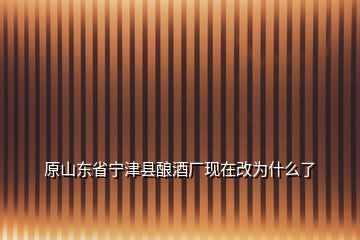 原山東省寧津縣釀酒廠現(xiàn)在改為什么了