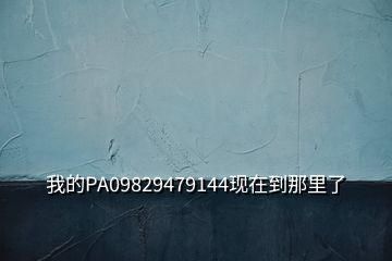 我的PA09829479144現(xiàn)在到那里了