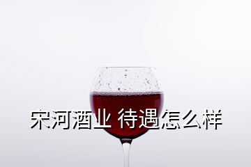 宋河酒業(yè) 待遇怎么樣