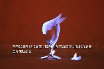 劉旭1985年6月1日生 河南省南陽(yáng)市西峽 拿走我30萬(wàn)消失 至今未找到此