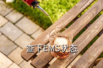 查下EMS狀態(tài)