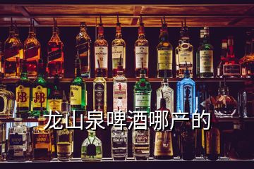 龍山泉啤酒哪產(chǎn)的