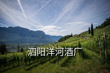 泗陽(yáng)洋河酒廠