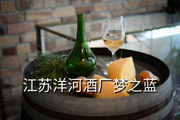 江蘇洋河酒廠夢之藍(lán)