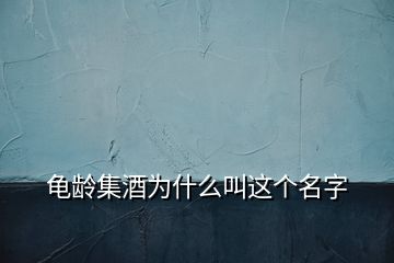 龜齡集酒為什么叫這個名字