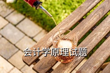 會(huì)計(jì)學(xué)原理試題