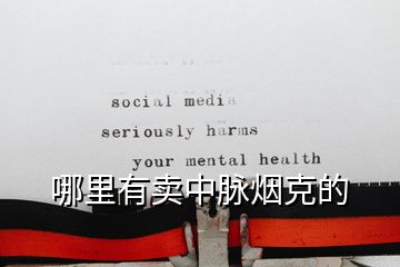 哪里有賣中脈煙克的