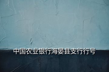 中國(guó)農(nóng)業(yè)銀行海晏縣支行行號(hào)