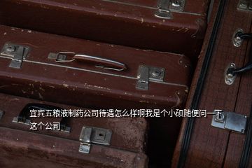 宜賓五糧液制藥公司待遇怎么樣啊我是個(gè)小碩隨便問一下這個(gè)公司