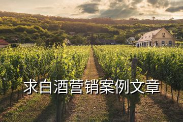 求白酒營銷案例文章