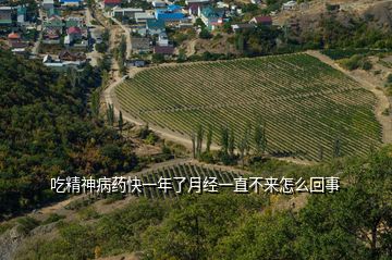 吃精神病藥快一年了月經(jīng)一直不來(lái)怎么回事