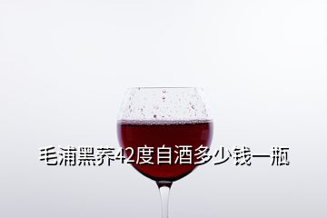 毛浦黑蕎42度自酒多少錢一瓶