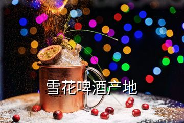 雪花啤酒產(chǎn)地