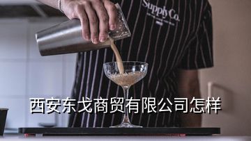 西安東戈商貿(mào)有限公司怎樣