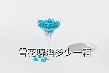 雪花啤酒多少一箱