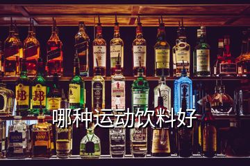 哪種運(yùn)動(dòng)飲料好