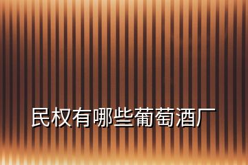 民權(quán)有哪些葡萄酒廠