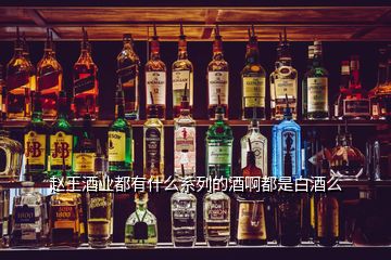 趙王酒業(yè)都有什么系列的酒啊都是白酒么