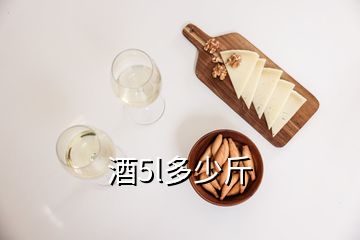 酒5l多少斤