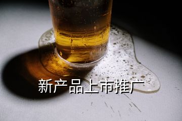 新產(chǎn)品上市推廣