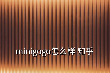 minigogo怎么樣 知乎