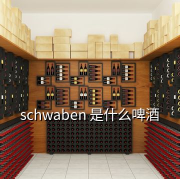 schwaben 是什么啤酒